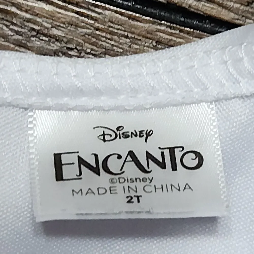 Disney Encanto Dress Graphic 2T